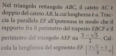 problema geometria