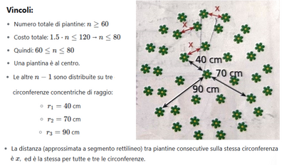 Disposizione piantine con vincoli geometrici 1