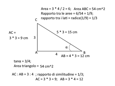 rapporti