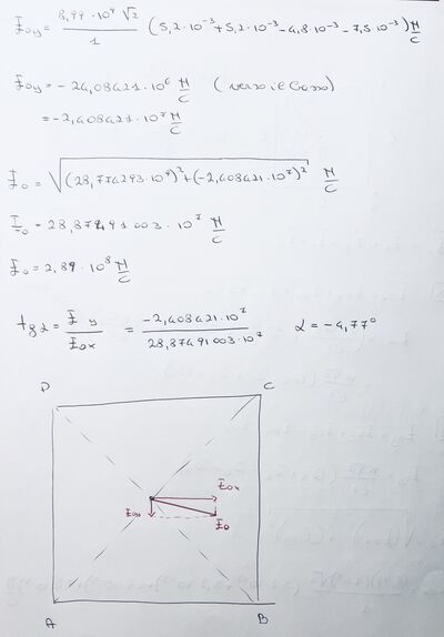 IMG 9467