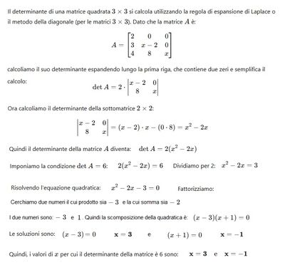 Determinante matrice 3x3 a