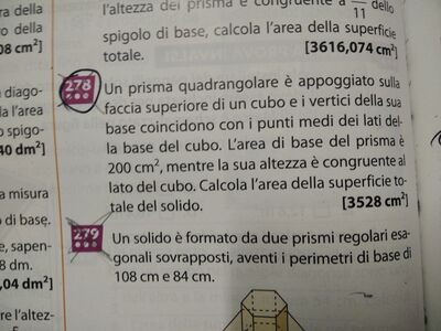 IMG 20250203 192933