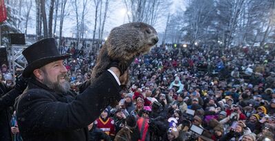 marmotta (2)