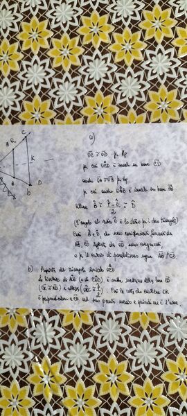 IMG20250414062126