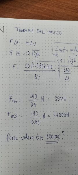 IMG20241122100305