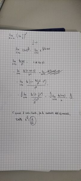 IMG20241127113449