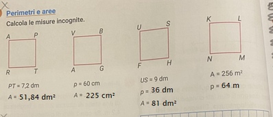 IMG 4214 (1) 2