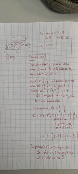 IMG20241115085240