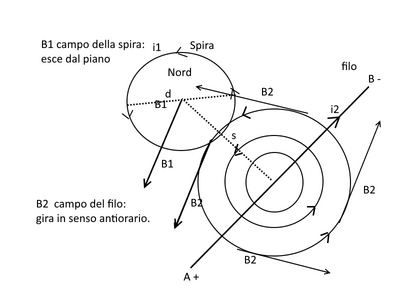 campi B