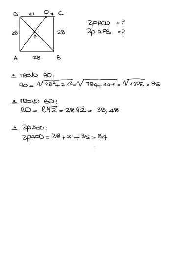 IMG 2884