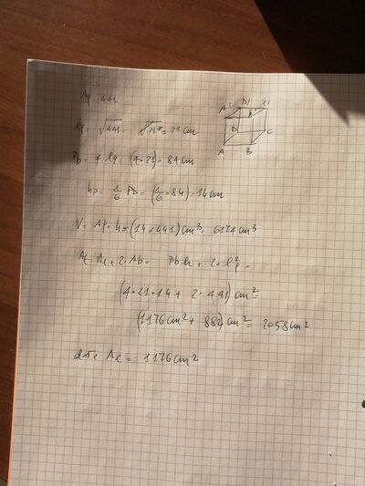 16789822188257152599723090629357