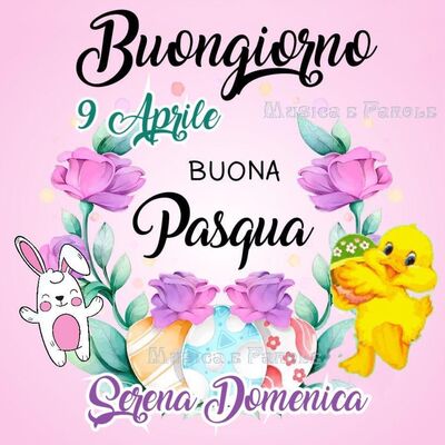 cad67b4e 4971 41d2 845a ff713c938848
