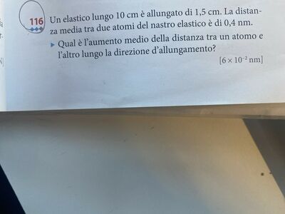 image (2)