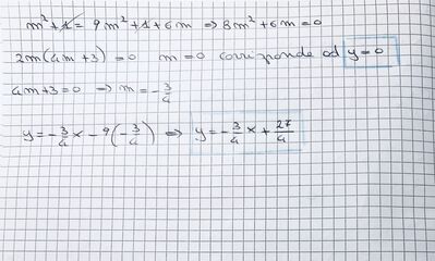 IMG 9722