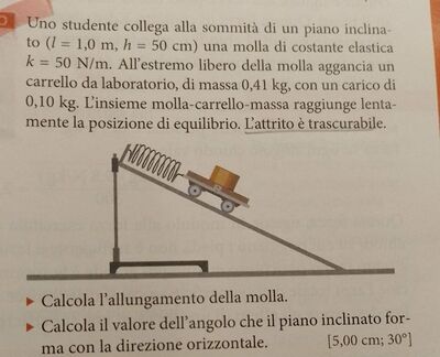 Immagine WhatsApp 2024 11 02 ore 23.38.42 793b968c