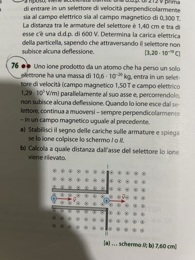 IMG 1684