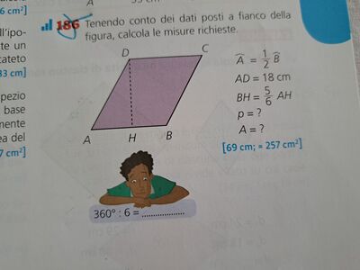 16821798835953983535826361162069