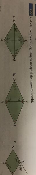 2B934DFD 244B 4FCD BC4A FD55BC3D53F2