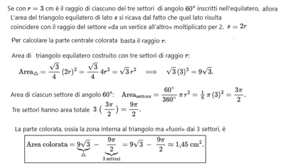 Area lunula interna