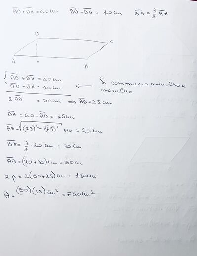 IMG 9025