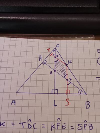 disegno 2