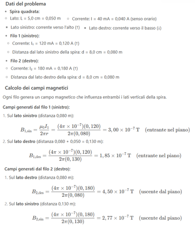 Forza magnetica su spira tra fili 1