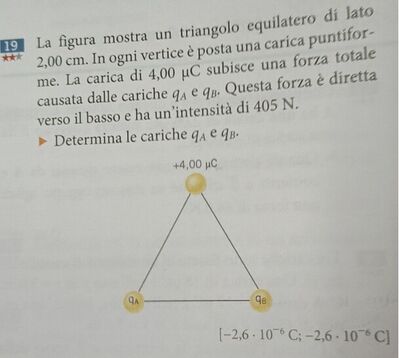 equilatero cariche