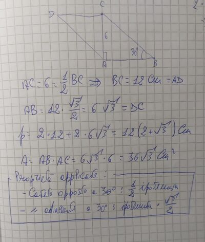 Immagine WhatsApp 2025 04 25 ore 09.53.35 ba1ae287