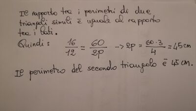 IMG 20220304 194234
