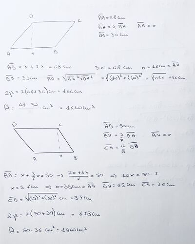 IMG 9024