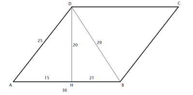 parallelogramma 19052026