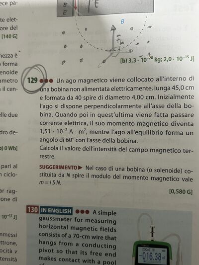 IMG 2612