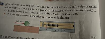 IMG 2248