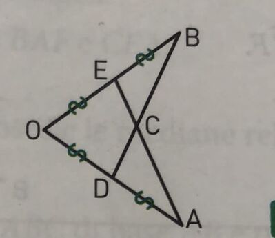 76f5e2a9 0453 4ef8 9061 ede6185d5d6b