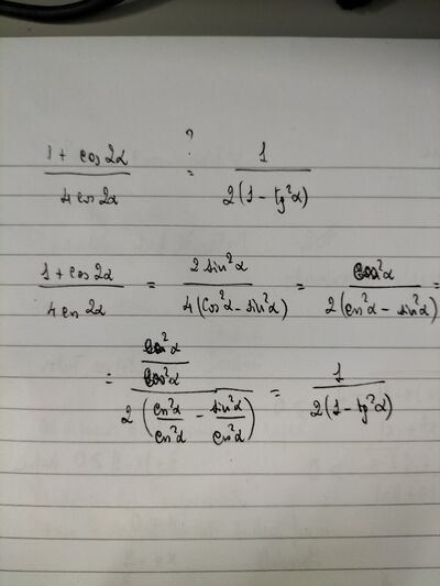 IMG20251111105322