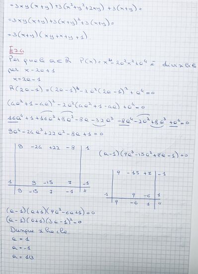 IMG 1131