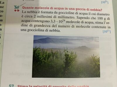 image (1)