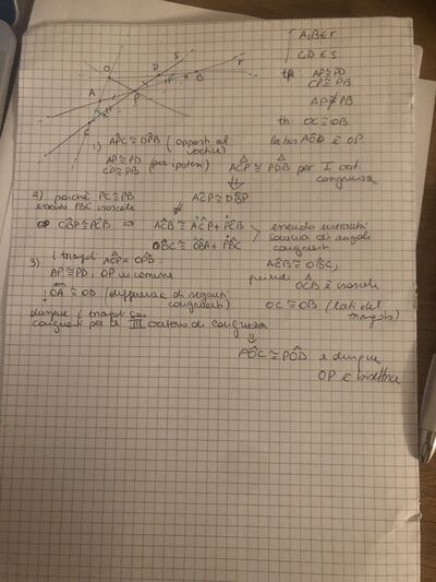 IMG 2508