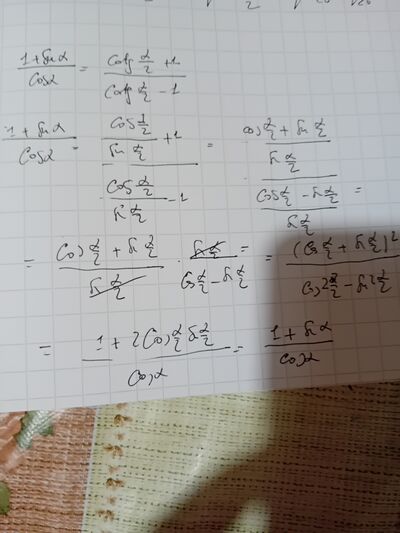 17252156826198994203556641120396