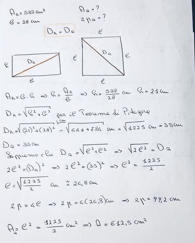 IMG 7003