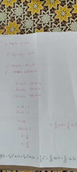 IMG20250520160005