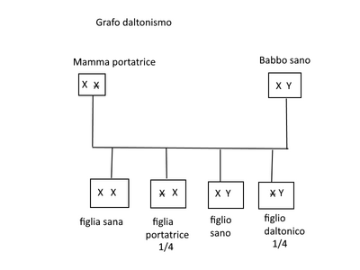 grafo dalt