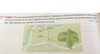 Immagine 2025 03 04 103711