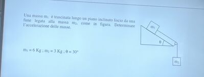 IMG 2194
