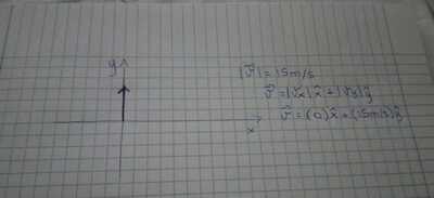 99bdf198 0798 4e10 91b6 56044c2be7d6