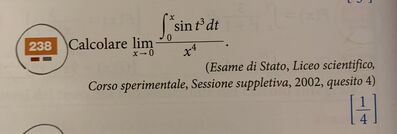 IMG 1272