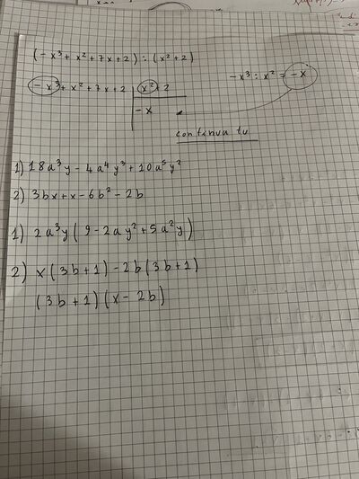 IMG 3640