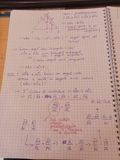 procedimento