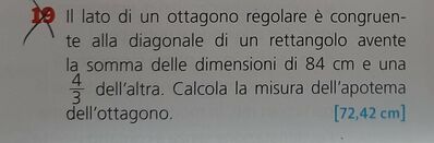 Pro Geometria n19
