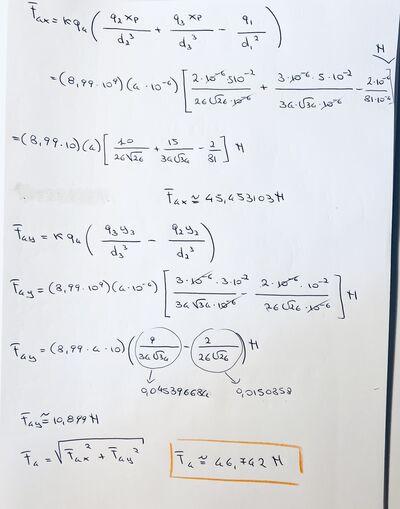IMG 7416